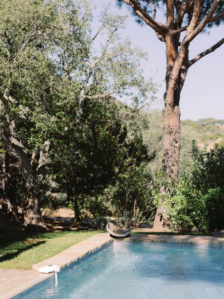 Piscine avec vue sur la nature et environnement paisible